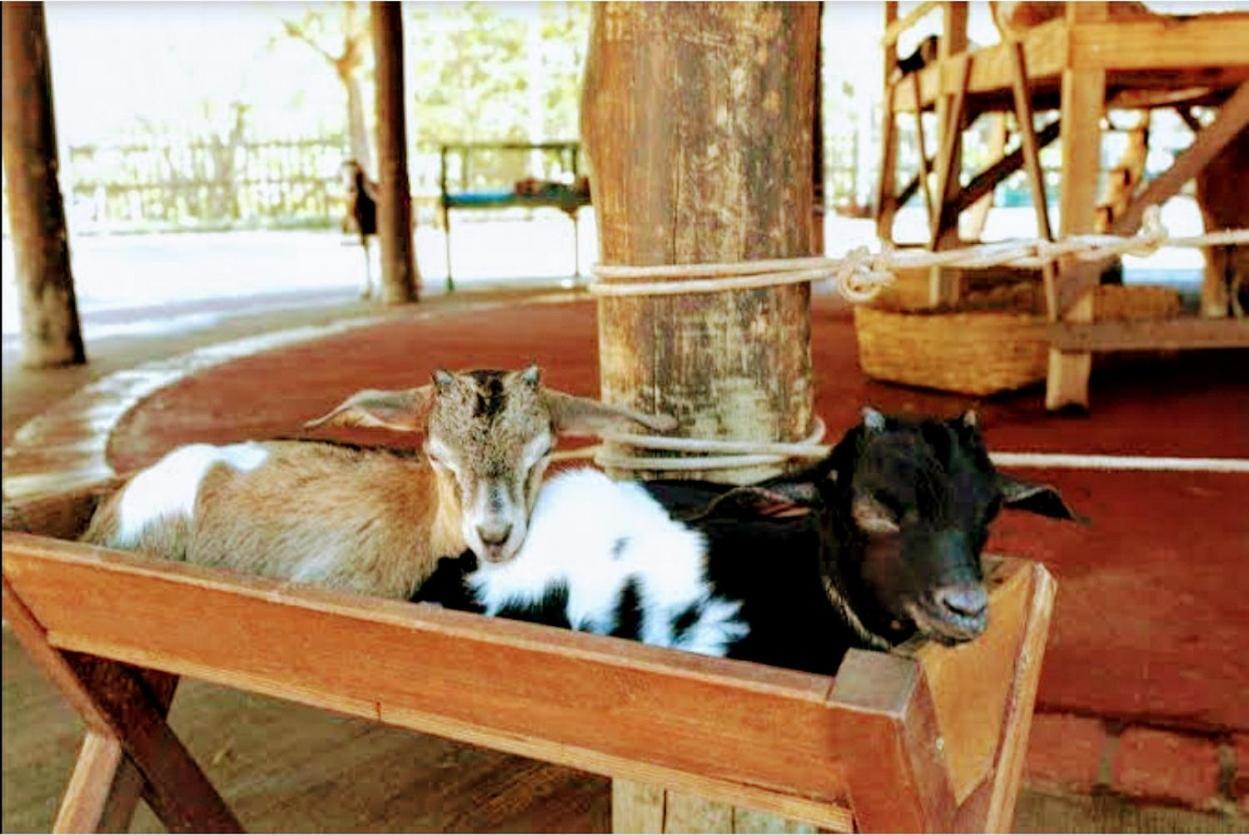Olimpia Park Resort - Resort Em Olimpia Luaran gambar